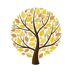 Autumn tree with yellow leaves.