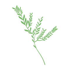 Bouquet of leaves icon vector illustration graphic design