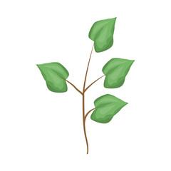 Bouquet of leaves icon vector illustration graphic design