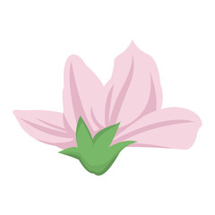 Beautiful decorative flowers icon vector illustration graphic design