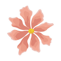 Beautiful decorative flowers icon vector illustration graphic design