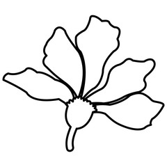 Beautiful decorative flowers icon vector illustration graphic design