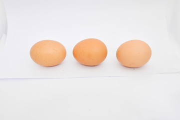 eggs