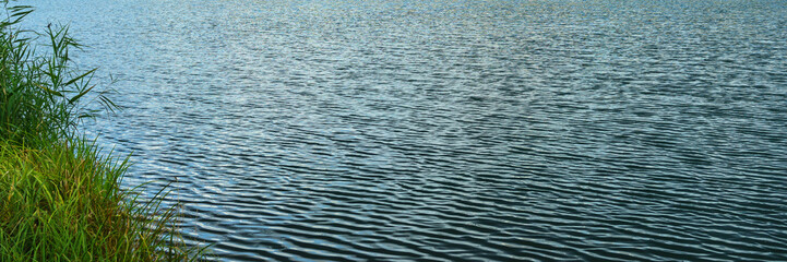 Shore panorama texture