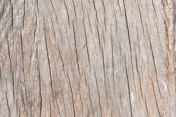 old wooden board,old wood plank,Old wood background,wood texture background