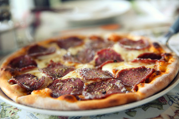 Pepperoni pizza , pizza with pepperoni mozzarella cheese and tomatoes with sauce background italian food