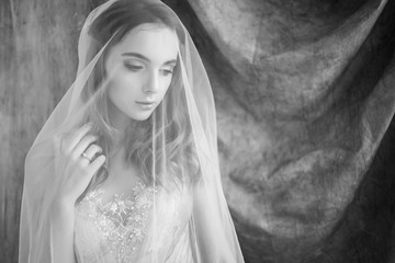 tender bride under the veil