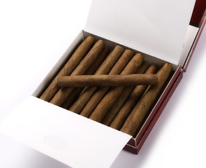 Cigarillos without filter in box with tobacco isolated over white background