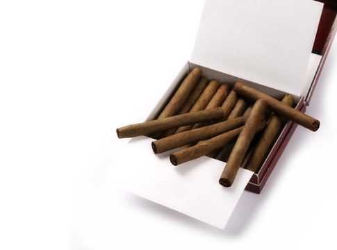 Cigarillos without filter in box with tobacco isolated over white background