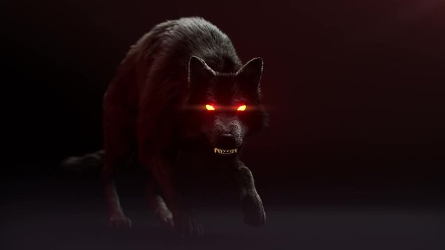 Scary wolf creeps. His eyes are burning. She growls and looks at us. Halloween theme High quality animation is looped. 