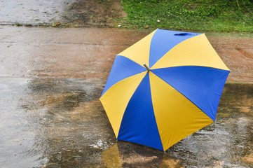 blue and yellow umbrella