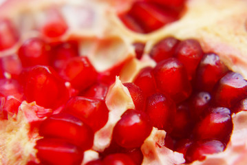 Close Up Pomegranate Seed In Selective Focus