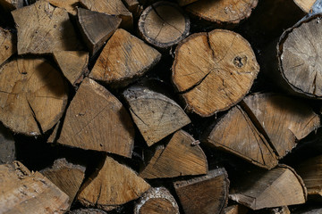 wood texture 