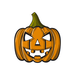 cartoon Halloween Pumpkin isolated on white background