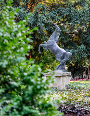 Statue of a horse in the park