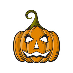 cartoon Halloween Pumpkin isolated on white background