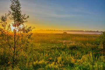Fototapeta premium Summer dawn