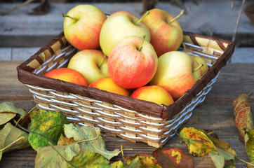 Organic apples in basket on a wooden table. Fresh apples in nature. Autumn Set. Autumn mood. Yellow and red leaves. background.