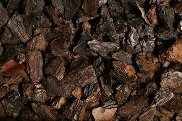 bark texture