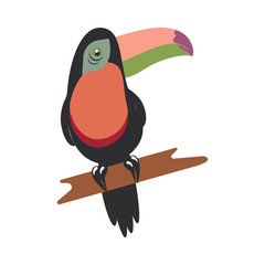 tucan on white background © StockVector