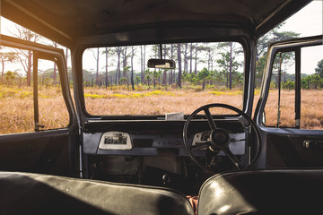 View on the dashboard of the car. Golden savanna is in front of the car.