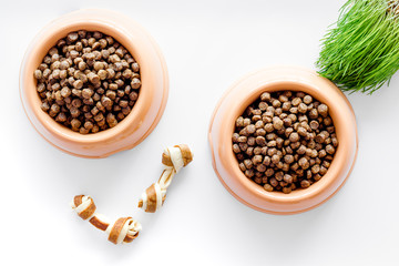 large bowl of pet - dog food with toy and plant on white background top view