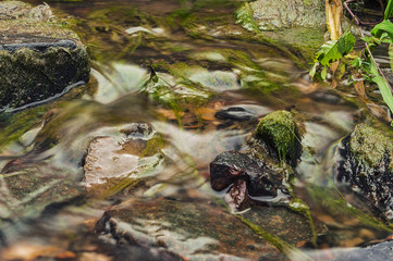 Small creek