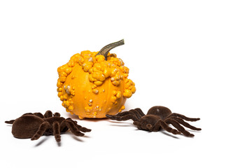 Halloween decoration background. Isolated © Eduardo Lopez