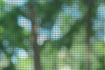 Mosquito screen, close up