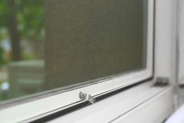 Window with mosquito screen indoors