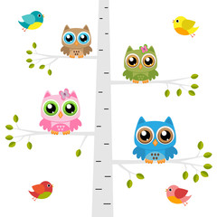 Owls on a tree with birds