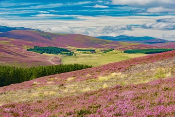 panorama of Scotland Highlands in England