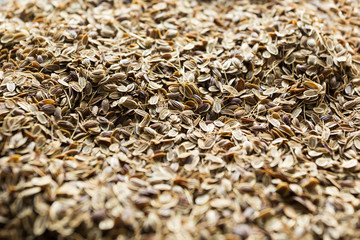 Dry organic dill seeds, background.