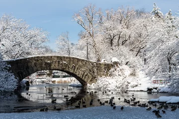 Gapstow Bridge in Snow