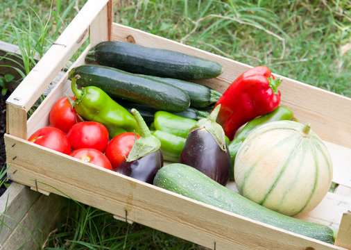 L&eacute;gumes dans une cagette 