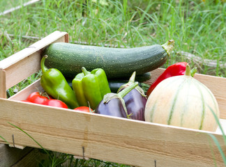 Légumes dans une cagette 