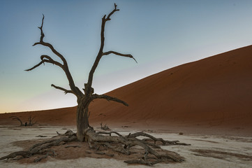 Deadvlei, Namibia