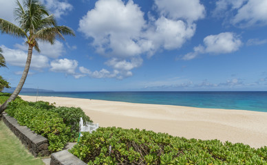 Tropical sandy beach on the north shore of Oahu Hawaii