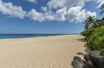 Tropical sandy beach on the north shore of Oahu Hawaii