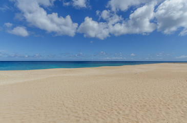 Tropical sandy beach on the north shore of Oahu Hawaii