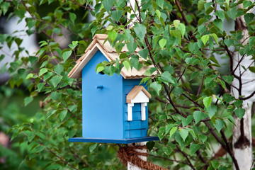 Blue birdhouse on the tree. Wooden house for birds among the leaves