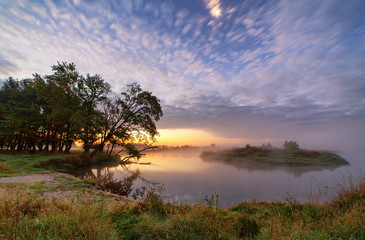 Dawn, misty morning on river. Fantastic foggy river with oaks on riverbank