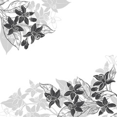 Floral background with hand-drawn branches of flowers neroli. Vector illustration on a white background with  place for text. Invitation, greeting card or an element for your design.