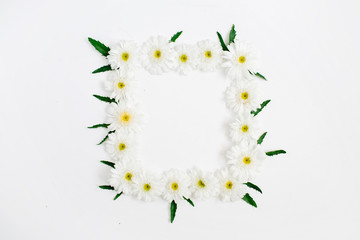 Floral frame made of white chamomile daisy flowers, green leaves on white background. Flat lay, top view. Daisy background. Frame of flower buds.