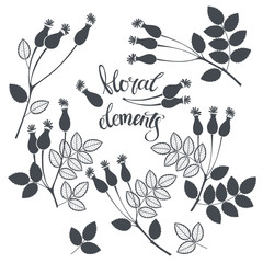 Rosehip berries.  Nine isolated vector floral elements for design. Black silhouettes on a white background.