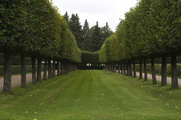 Grand cascade in Pertergof, Saint-Petersburg, Russia.

