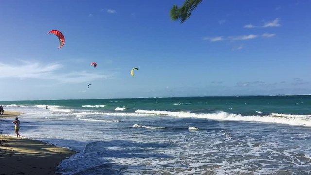 Group of Kite Surfers at a beautiful Beach