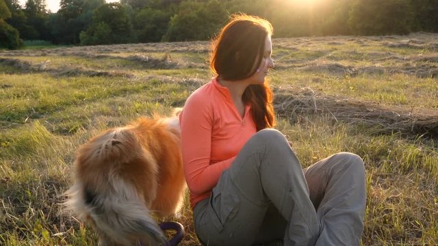 Collie dog with adorable girl on green field at sunlight