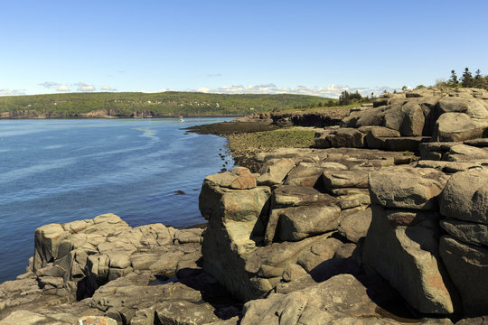Digby Head