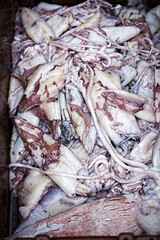 Calamari squids in plastic container on fish market 